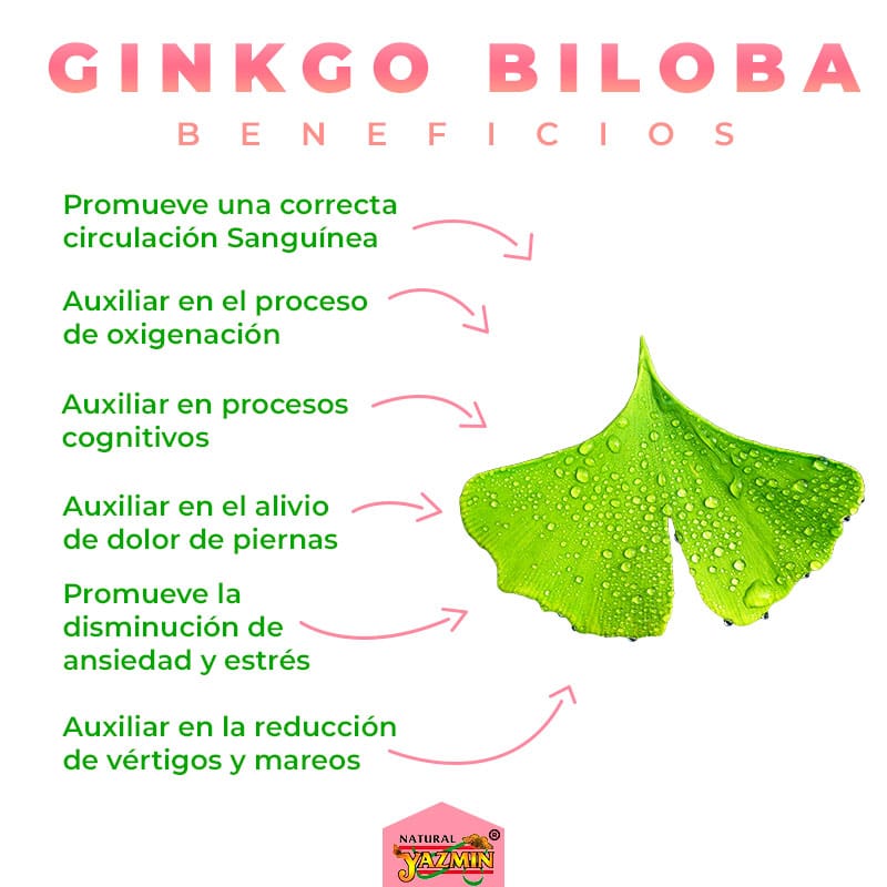 Ginkgo Biloba 150 Cápsulas de 400mg Natural Yazmin®